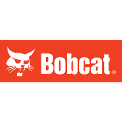 Bobcat